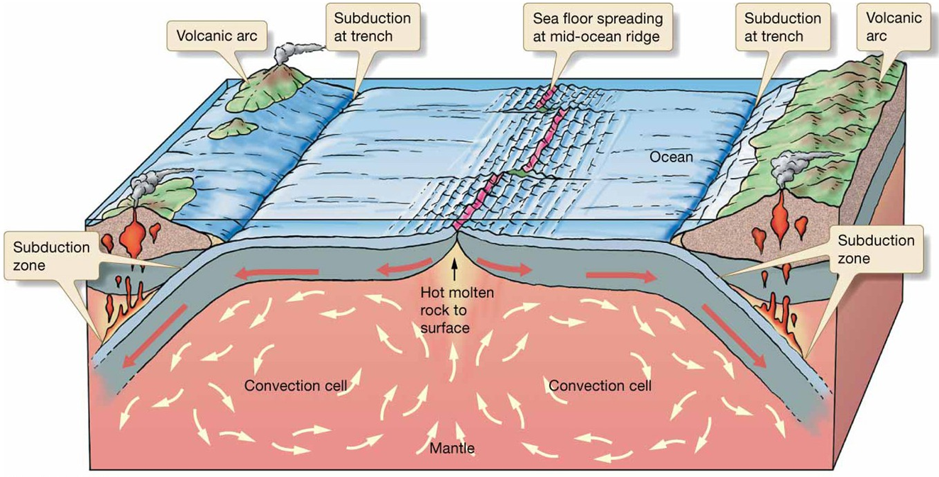 Geography Plate Tectonic Processes