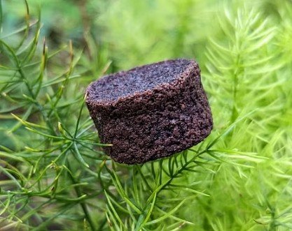 Eco-Friendly Biodegradable Foam Developed by IISc