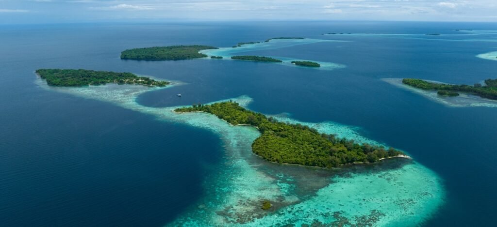 Solomon Islands Coral Colony