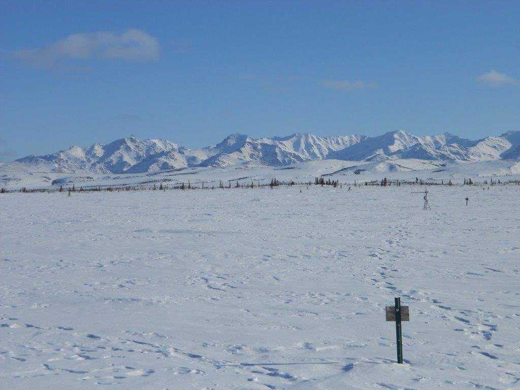 Arctic Tundra Shifting from Carbon Sink to Carbon Source Arctic Tundra Shifting from Carbon Sink to Carbon Source