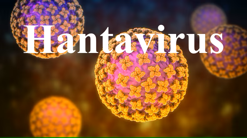 What are the symptoms of hantavirus?