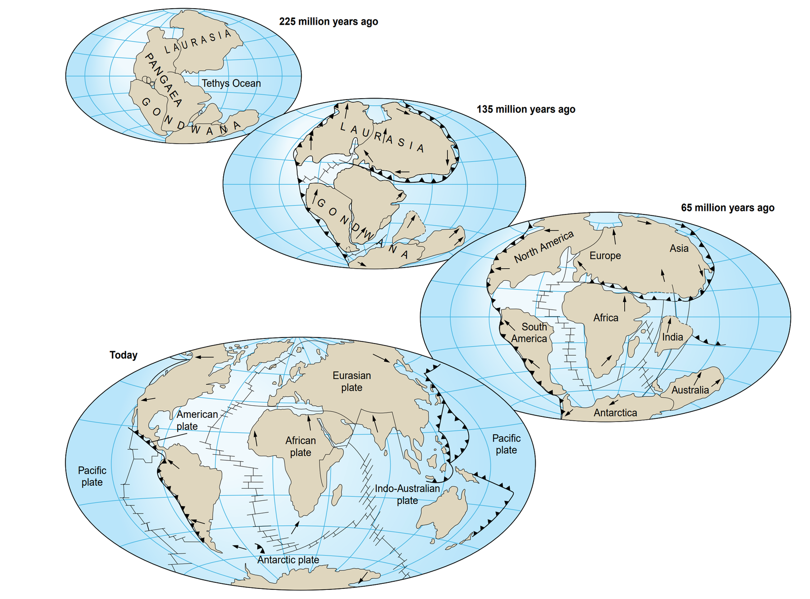 प्लेट विवर्तनिकी सिद्धांत क्या है? (Plate Tectonic Theory)