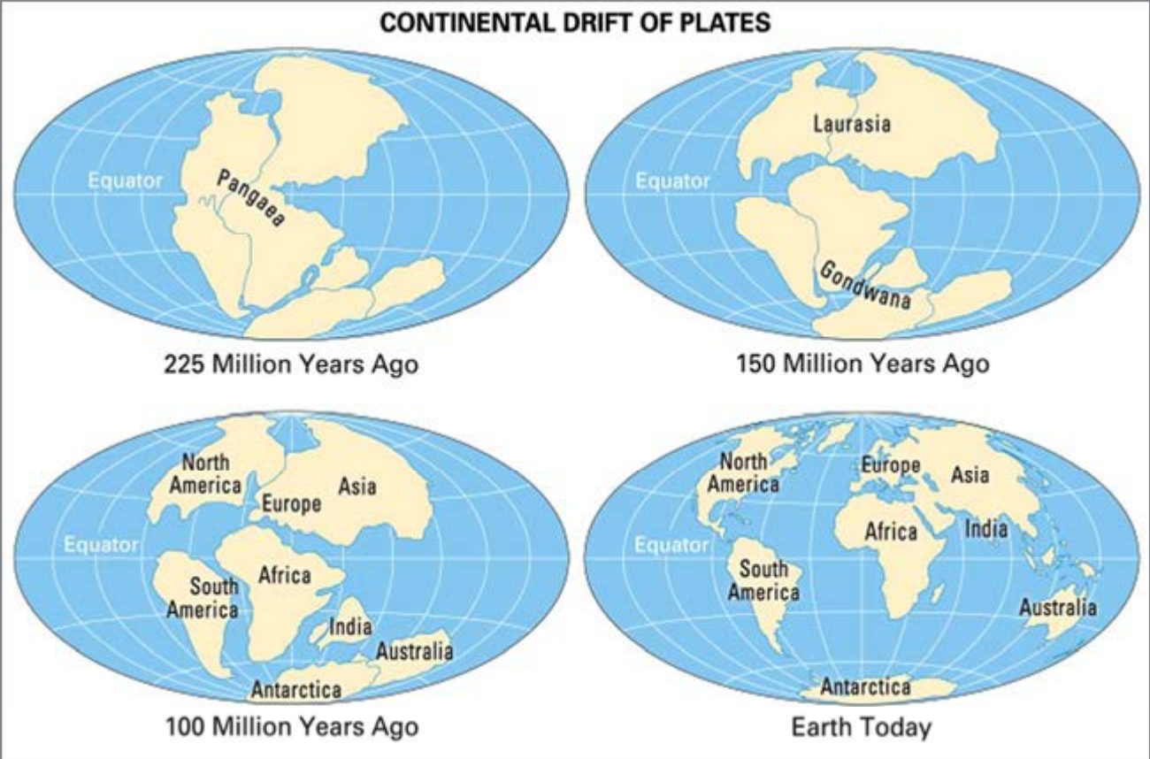 महाद्वीपीय विस्थापन सिद्धांत क्या है ? महाद्वीपीय विस्थापन सिद्धांत के प्रमाण तथा आलोचना । महाद्वीपीय विस्थापन सिद्धांत क्या है ? महाद्वीपीय विस्थापन सिद्धांत के प्रमाण तथा आलोचना ।