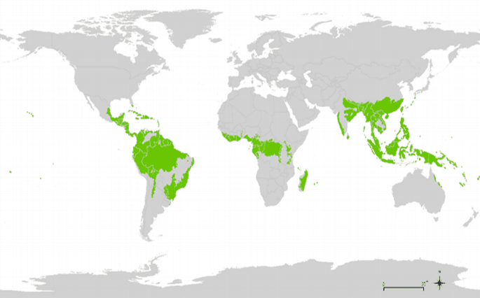 Geography