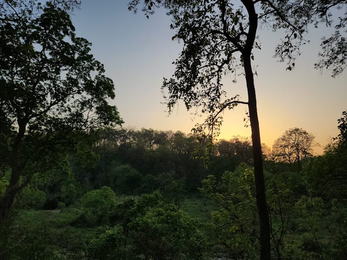 Jim Corbett National Park Jim Corbett National Park