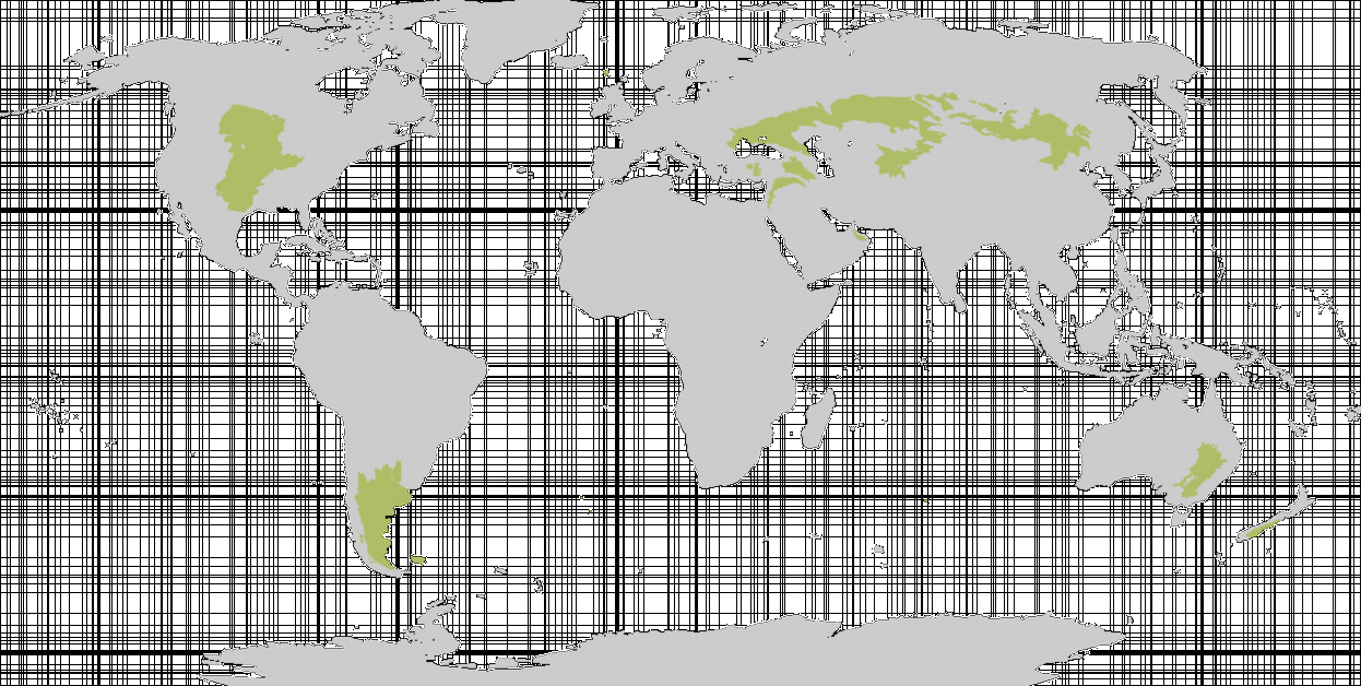 मध्य अक्षांशीय स्टेपी जलवायु (Mid Latitudinal Steppe Climate) मध्य अक्षांशीय स्टेपी जलवायु (Mid Latitudinal Steppe Climate)