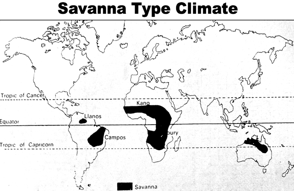 सवाना तुल्य जलवायु क्षेत्र (Savanna Type Climate) क्या है? सवाना तुल्य जलवायु क्षेत्र (Savanna Type Climate) क्या है?