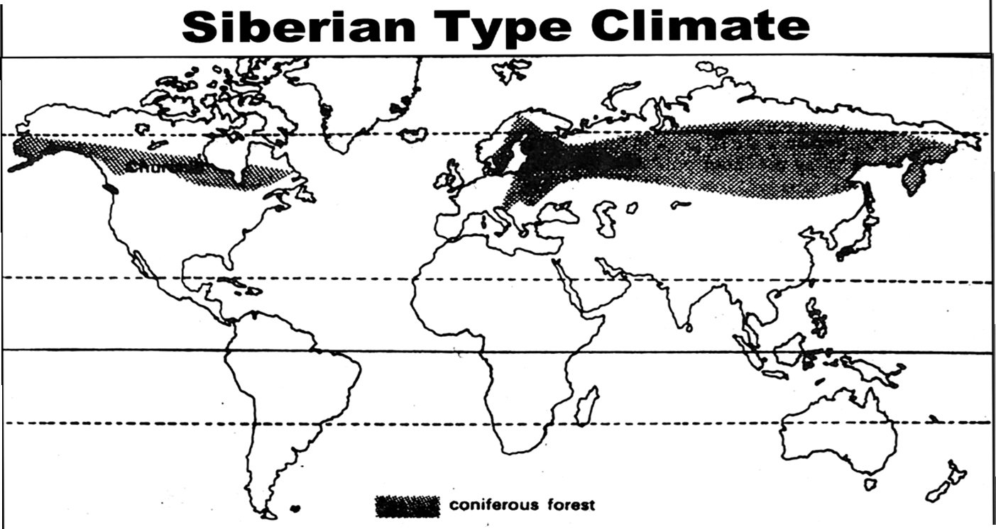 टैगा अथवा साइबेरिया प्रकार की जलवायु(Taiga or Siberian Type Climate)