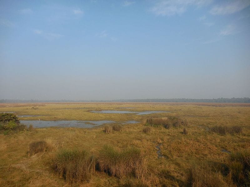 Dudhwa National Park Dudhwa National Park