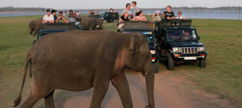 Dudhwa National Park Dudhwa National Park