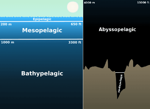 Abyss Box Deep sea Zone