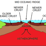 Sea Floor Sprending