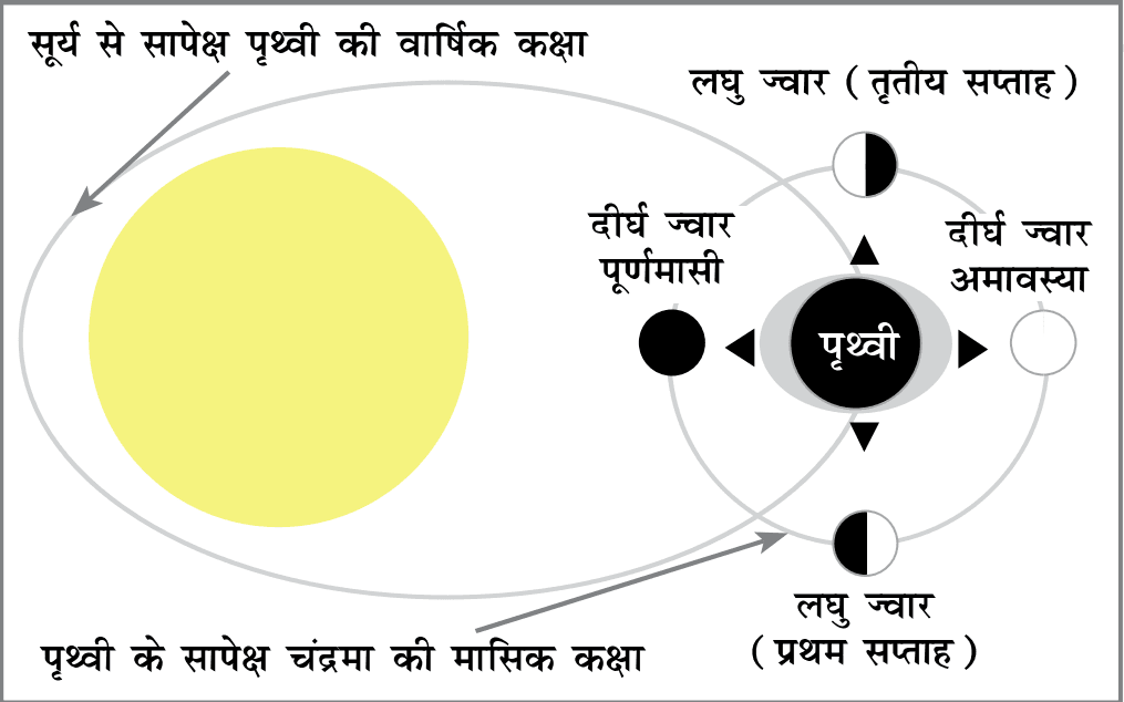 ज्वार-भाटा (Tides-Ebb) ज्वारोत्पादक बल (Tide Generating Force)