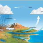 Precipitation is a vital component of how water moves through Earth’s water cycle, connecting the ocean, land, and atmosphere. Knowing where it rains, how much it rains and the character of the falling rain, snow or hail allows scientists to better understand precipitation’s impact on streams, rivers, surface runoff and groundwater. Frequent and detailed measurements help scientists make models of and determine changes in Earth’s water cycle. The water cycle describes how water evaporates from the surface of the earth, rises into the atmosphere, cools and condenses into rain or snow in clouds, and falls again to the surface as precipitation. The water falling on land collects in rivers and lakes, soil, and porous layers of rock, and much of it flows back into the oceans, where it will once more evaporate. The cycling of water in and out of the atmosphere is a significant aspect of the weather patterns on Earth.