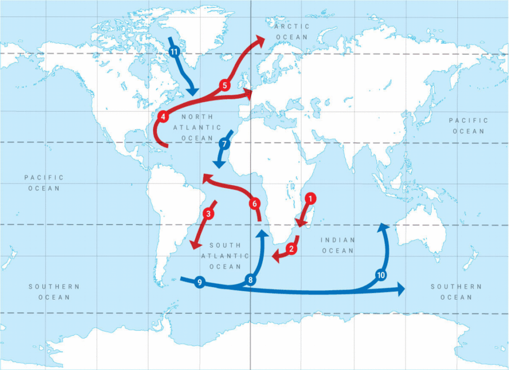 महासागरीय जल का तापमान(Temperature of Oceanic Water) महासागरीय जलधाराएँ (Oceanic Currents)