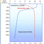 महासागरीय जल का तापमान(Temperature of Oceanic Water)