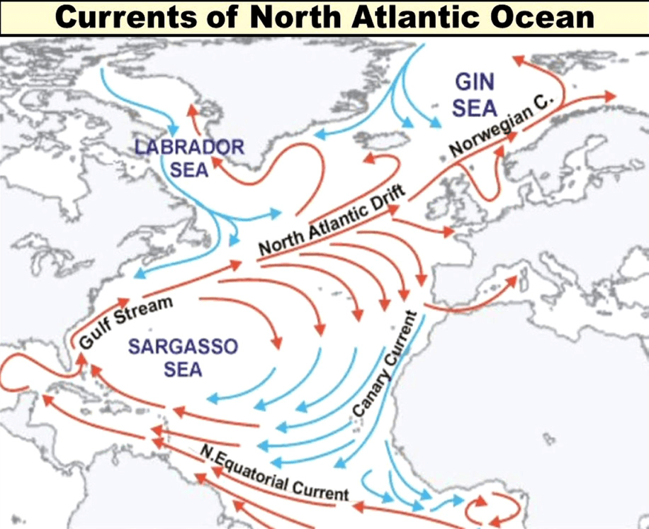 महासागरीय धाराएँ (Ocean Currents) अटलांटिक महासागर की जलधाराएँ (Currents of Atlantic Ocean)