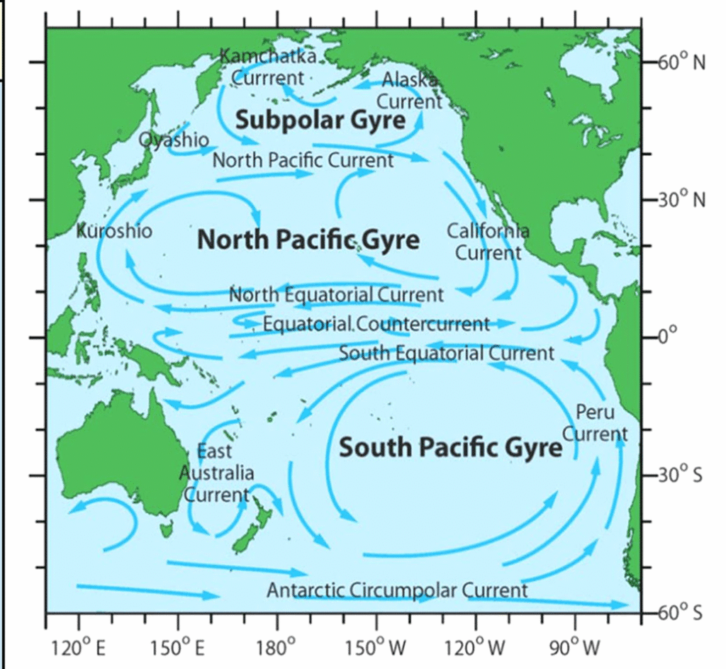 महासागरीय धाराएँ (Ocean Currents) उत्तरी प्रशांत महासागर की जलधाराएँ (The Currents of North Pacific Ocean)