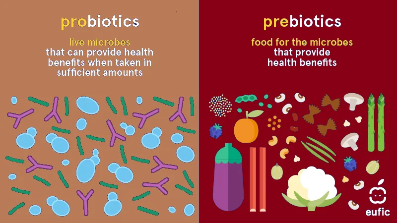 Prebiotics vs. Probiotics