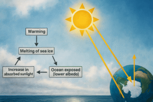 StudyHUB – Free Open Educational Resources Diagram showing the ice–albedo feedback loop where melting sea ice leads to more sunlight absorption and further warming