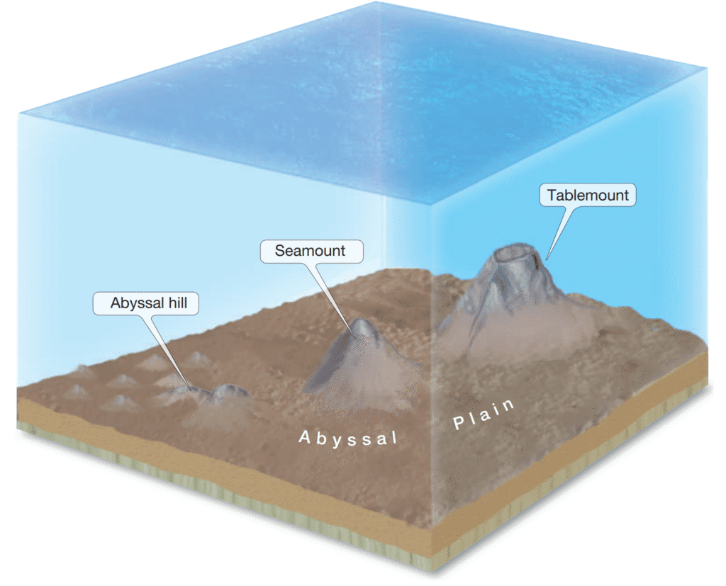What Features Exist in the Deep-Ocean Basins? Comparison of an abyssal hill, seamount, and tablemount.