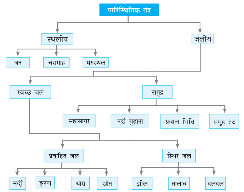 पारिस्थितिक तंत्र की मौलिक संकल्पना (Basic Concept of Ecosystem) पारिस्थितिक तंत्र की मौलिक संकल्पना (Basic Concept of Ecosystem)
