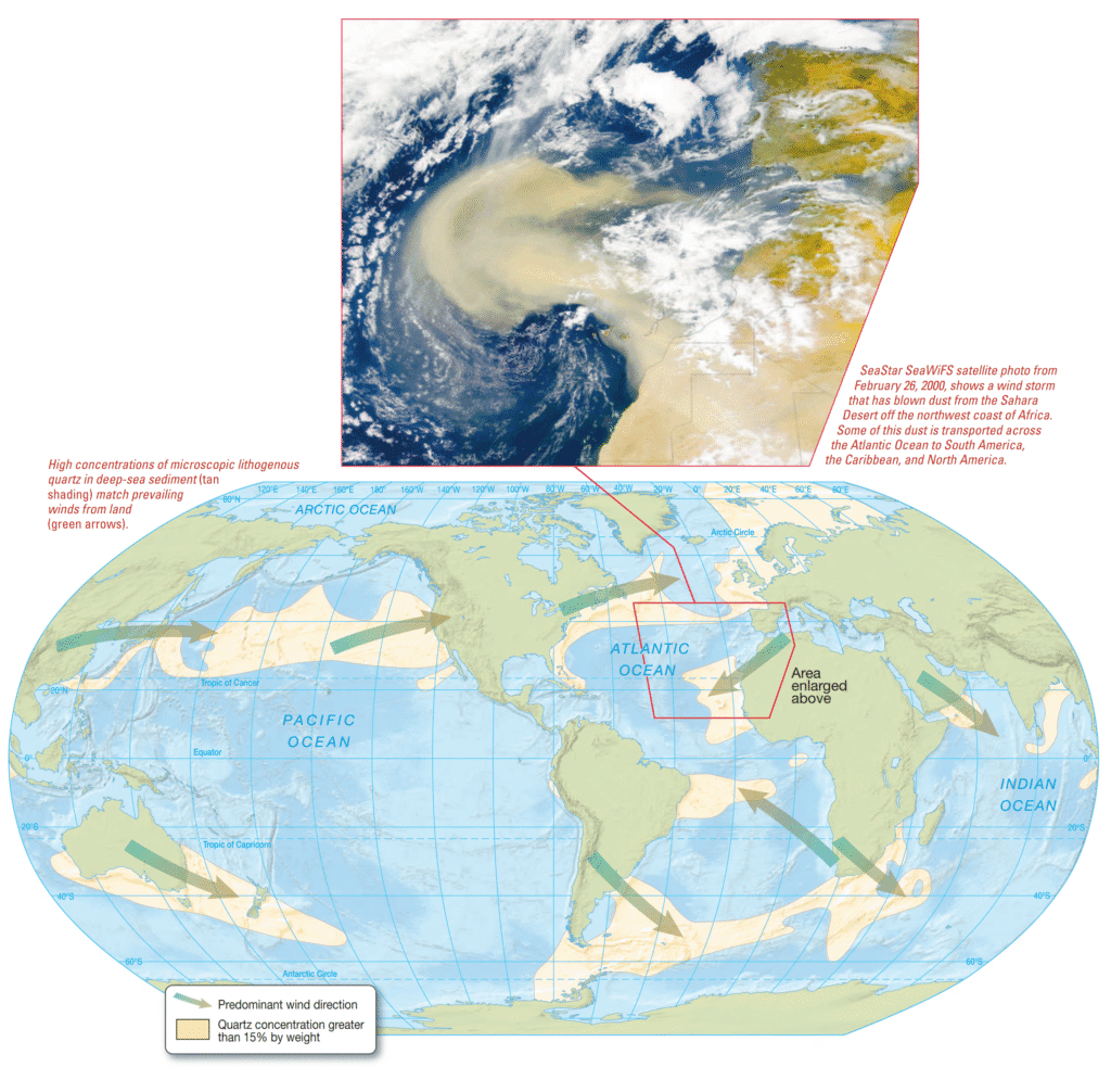 What Are the Characteristics of Lithogenous Sediment? Lithogenous quartz in surface sediments of the world’s oceans and transport by wind.