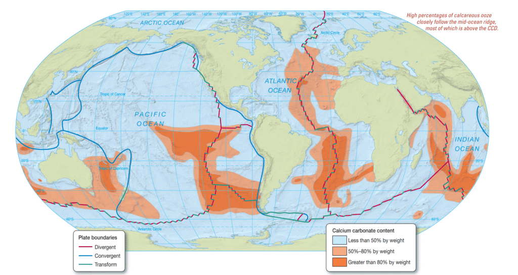 What Are the Characteristics of Biogenous Sediment? Distribution of calcium carbonate in modern surface sediments.