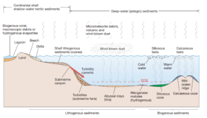 StudyHUB – Free Open Educational Resources Pelagic and Neritic Deposits