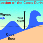 StudyHUB – Free Open Educational Resources Tsunami