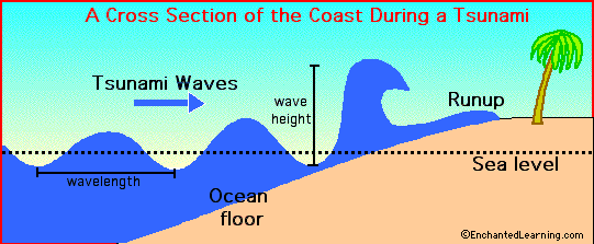 What is a tsunami caused by? Rise in Tsunami amplitude near the coast