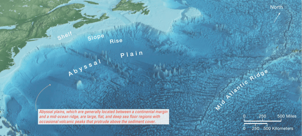 What Features Exist in the Deep-Ocean Basins? Abyssal Plains