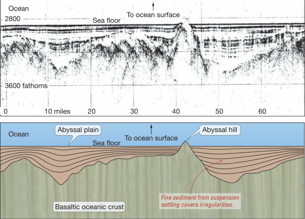 What Features Exist in the Deep-Ocean Basins? Abyssal plain formed by suspension settling