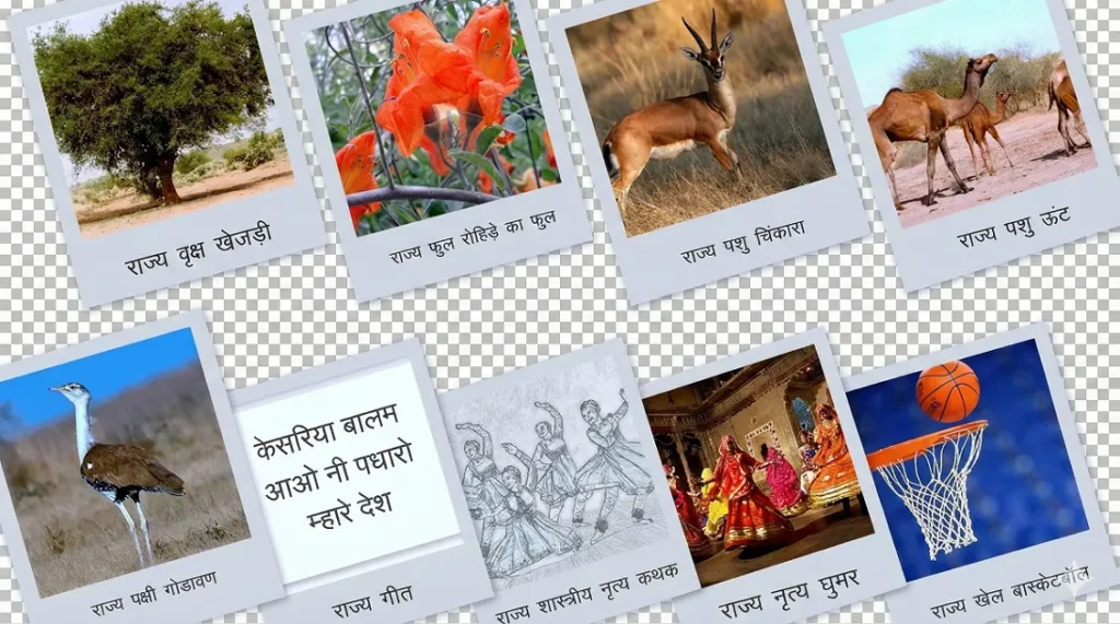 राजस्थान (Rajasthan) के प्रतीक चिन्हों में राज्य वृक्ष खेजड़ी, राज्य पुष्प रोहिड़ा, राज्य पक्षी गोडावण, राज्य पशु चिंकारा (वन्यजीव श्रेणी में) व ऊँट (पालतू श्रेणी में), राज्य नृत्य घूमर, राज्य खेल बास्केटबॉल, और राज्य गीत केसरिया बालम शामिल हैं, जो राज्य की समृद्ध संस्कृति, प्रकृति और परंपरा को दर्शाते हैं, जिसमें राज्य चिन्ह में अशोक का सिंह स्तंभ और देवनागरी में 'राजस्थान' लिखा होता है.