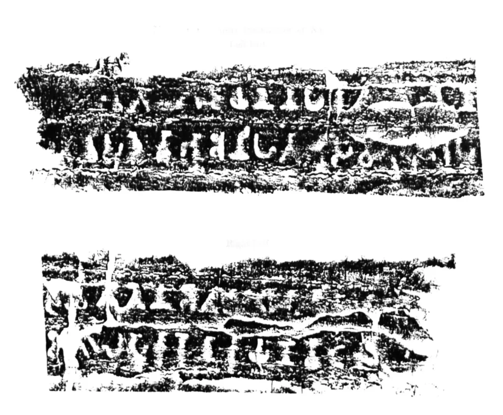 हाथीबाड़ा घोसुण्डी शिलालेख (या, घोसुंडी शिलालेख, या हाथीबाड़ा शिलालेख), राजस्थान के चित्तौड़गढ़ के पास प्राप्त शिलालेख हैं 