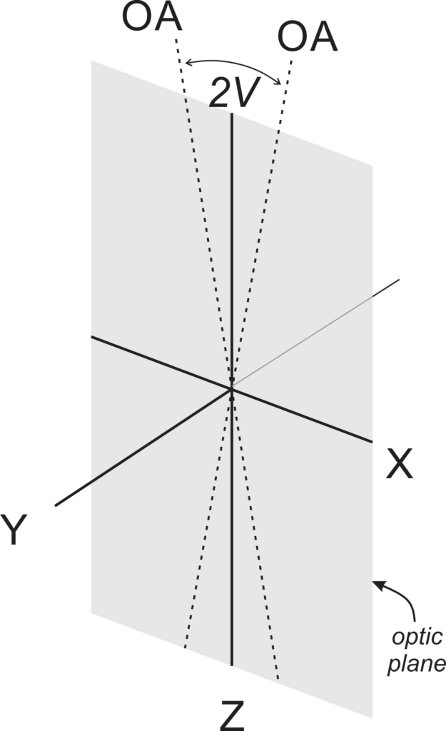 5 Optical Mineralogy The optic plane and 2V in a biaxial mineral