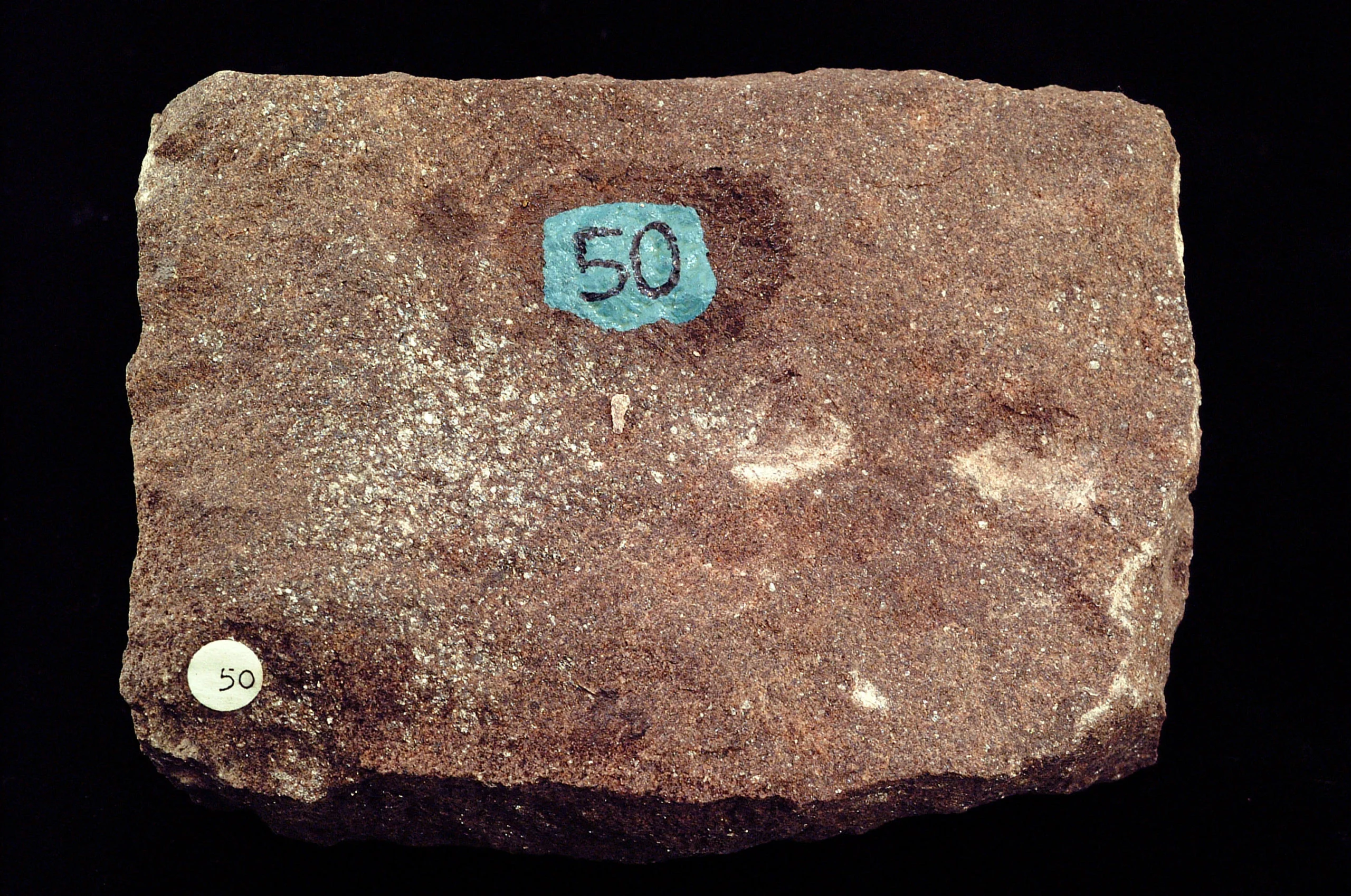 7 Sedimentary Minerals and Sedimentary Rocks Arkose Mt. Tom Massachusetts