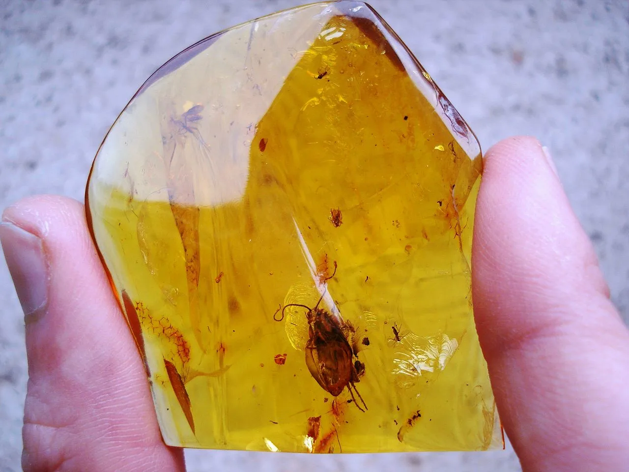 3 Mineral Properties Amber with an included insect