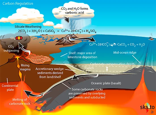 The silicate weathering cycle.