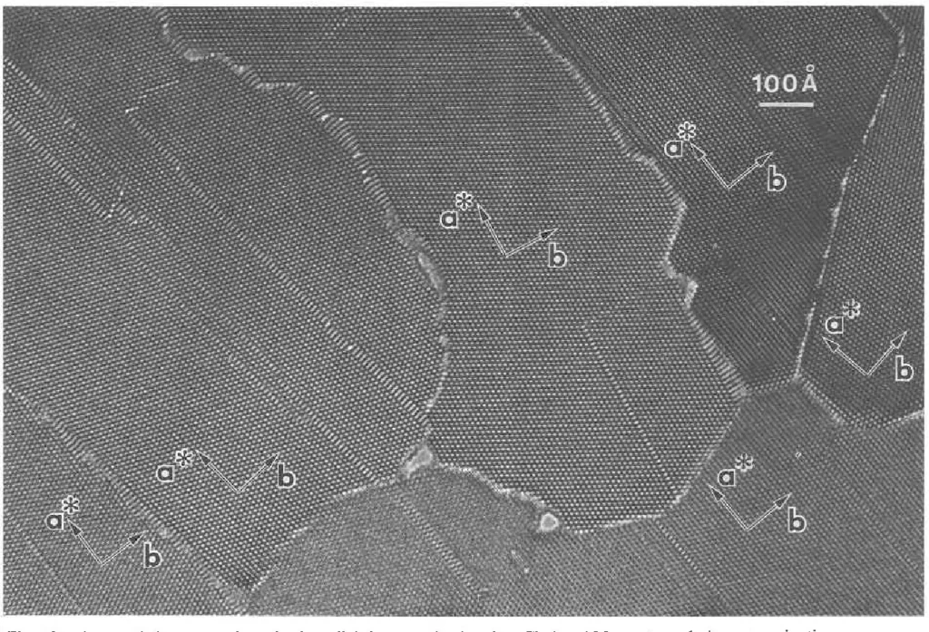 4 Crystals and Crystallization Transmission electron microscope (TEM) image of crocidolite