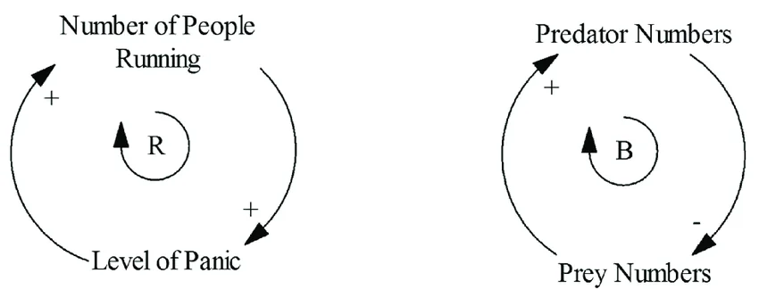 Examples of amplifying (positive) and balancing (negative) feedback loops. Amplifying feedback loops tend to further force a system that is out of balance further out of balance. Balancing feedback loops represent sustainability, in this case, the predator/prey relationship. (Source: Neely and Walters, 2016)