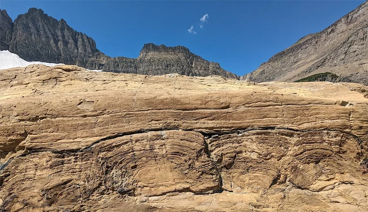 Stromatolites in Glacier National Park, Montana. Callan Bentley photo