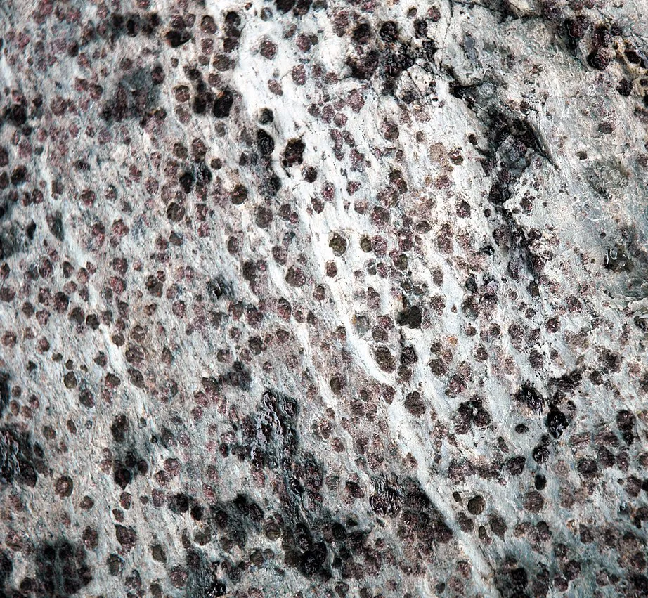 8 Metamorphic Minerals and Metamorphic Rocks A garnet gneiss. The garnets are up to 5 mm across.