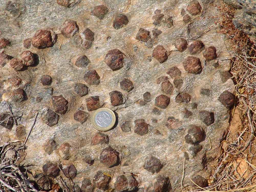 8 Metamorphic Minerals and Metamorphic Rocks A garnet-muscovite schist from Syros, Greece. The garnet porphyroblasts are nearly as large as the 1-euro coin (2.3 cm across).