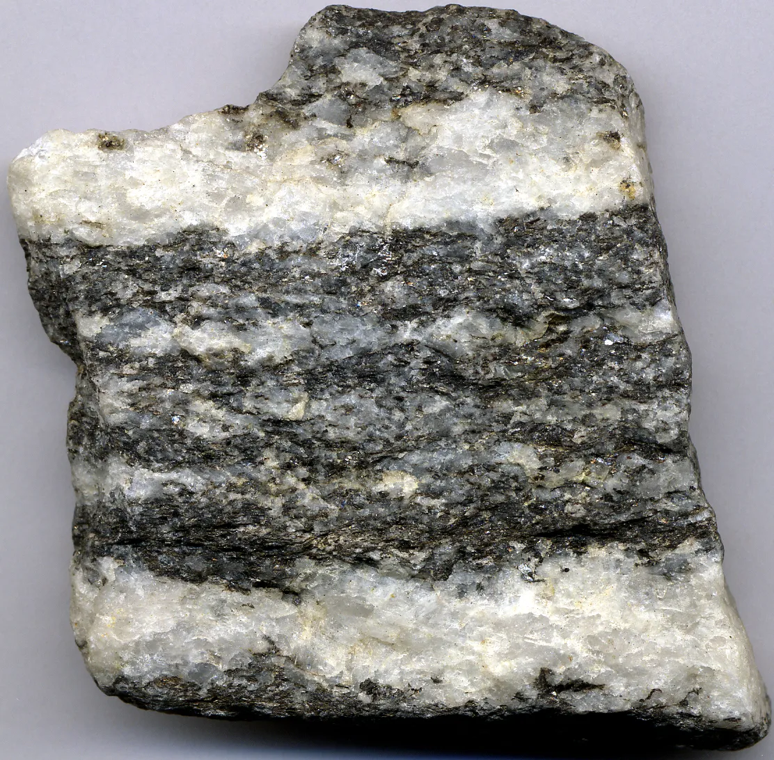 8 Metamorphic Minerals and Metamorphic Rocks A biotite-quartz gneiss. The specimen is 6.8 cm across.