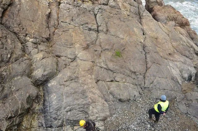 8 Metamorphic Minerals and Metamorphic Rocks Metamorphosed mantle in the Lizard Complex, Cornwall, England