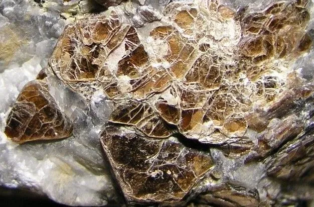 8 Metamorphic Minerals and Metamorphic Rocks Phlogopite in marble from Orange County, New York