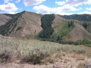 Slope aspect and its effect on vegetation near Anderson Ranch, Idaho. South-facing slopes get much more direct sunlight and less snow over. They sustain lower growing, desert flora. North-facing slopes hold snow cover and moisture longer and can support healthy forests.