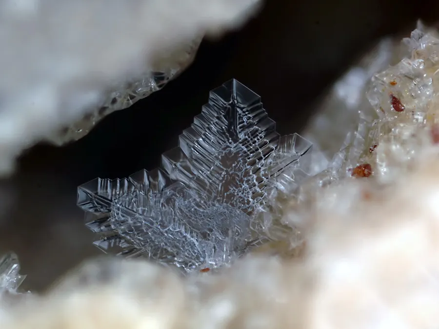4 Crystals and Crystallization Arborescent tridymite in a volcanic rock4.48 Arborescent tridymite in a volcanic rock