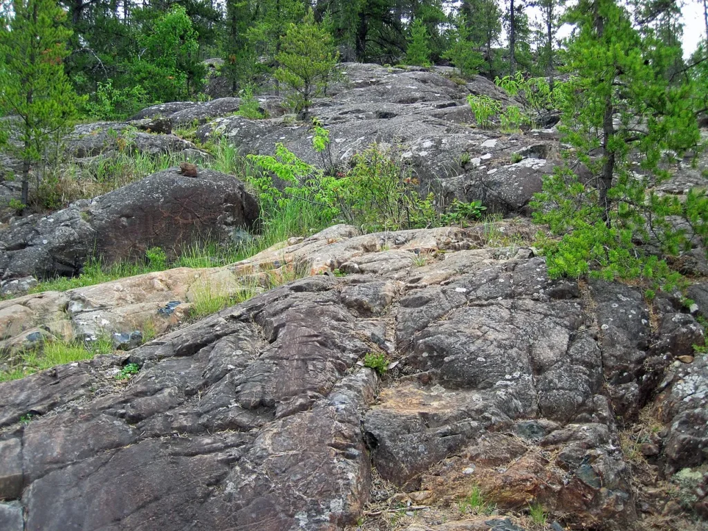8 Metamorphic Minerals and Metamorphic Rocks Outcrop of metamorphosed ultramafic rock at Pyke Hill, western Ontario
